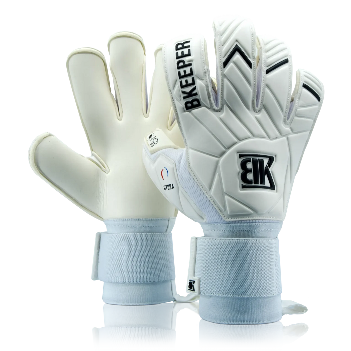 Hydra White